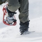 snowshoe
